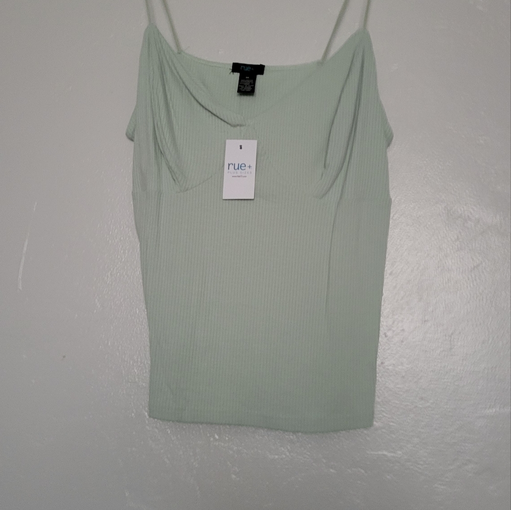 Rue 21 plus size crop top